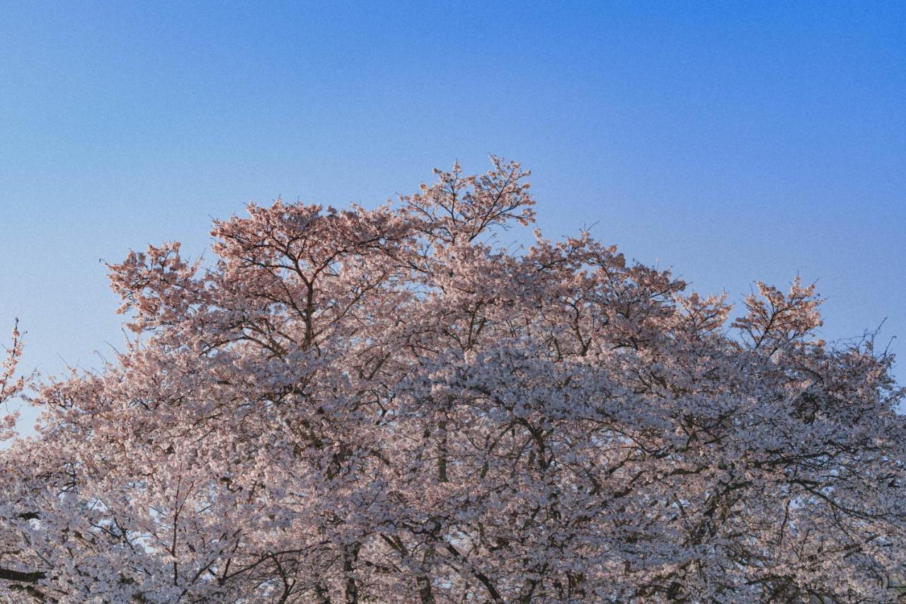 Kominkayado Loof Sakanoie Fuefuki Esterno foto