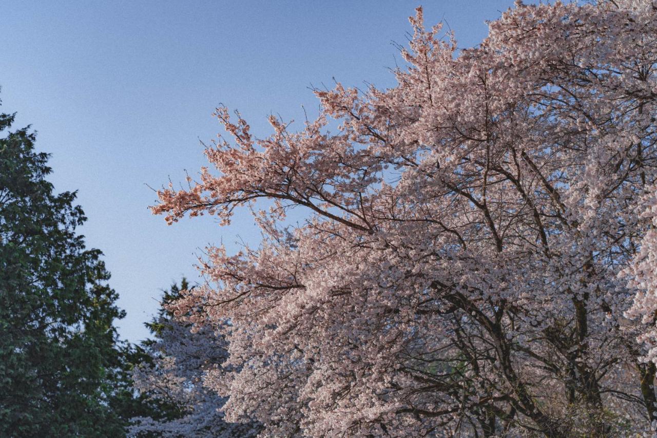 Kominkayado Loof Sakanoie Fuefuki Esterno foto